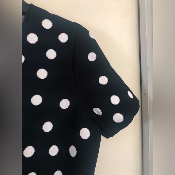 Carolina Herrera Polka Dot Fit-&-Flare Dress - Picture 10 of 16